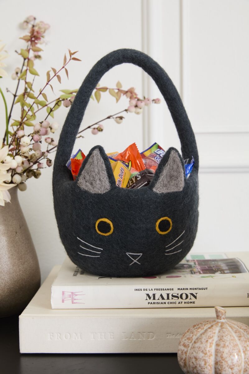 Felt Cat Basket