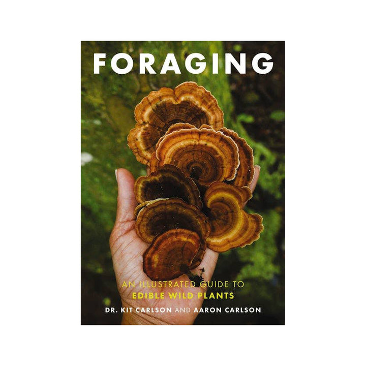 Foraging: An Illustrated Guide
