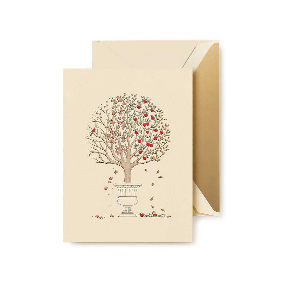 Four Season Apple Tree Boxed Card Set