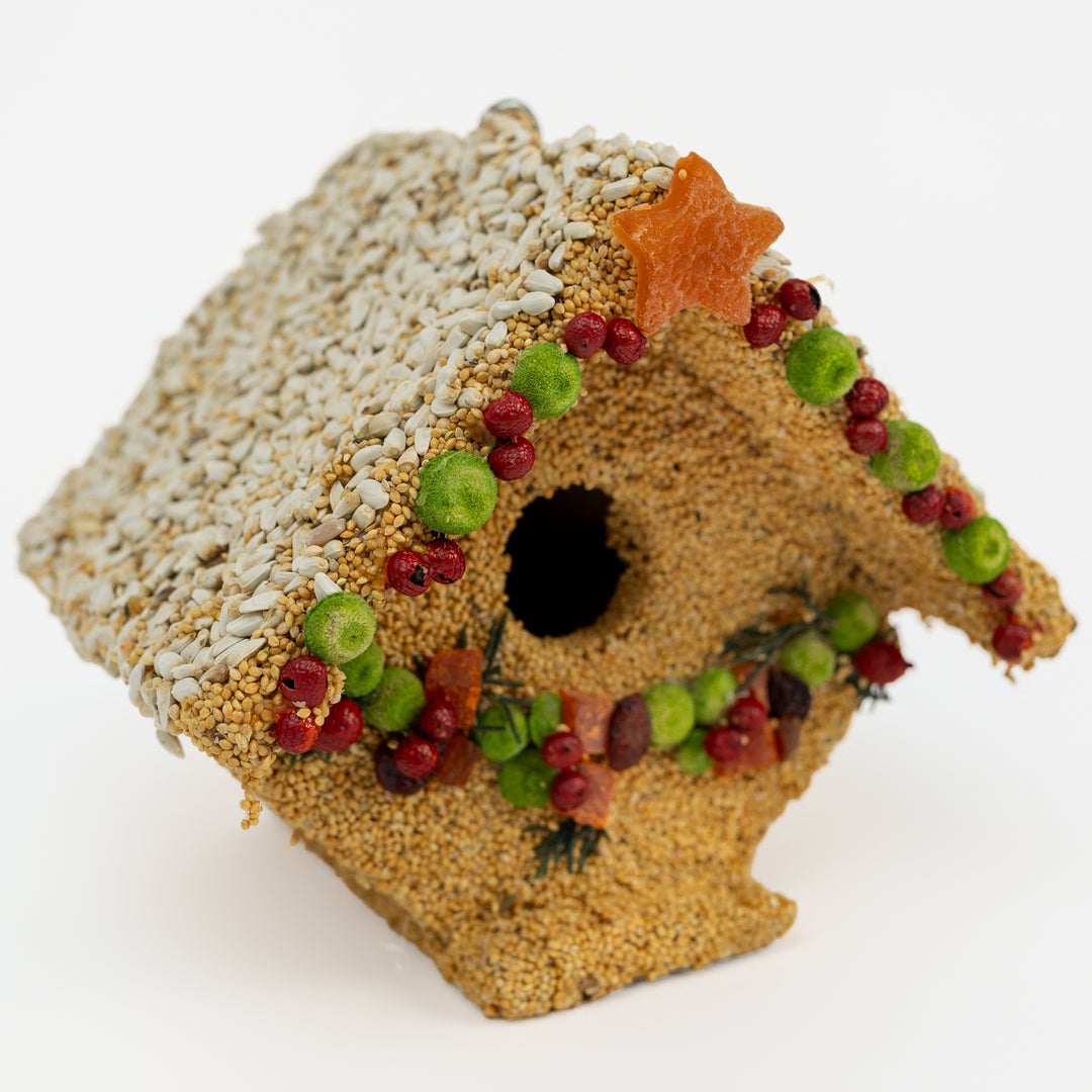 Fruity Casita Birdseed House