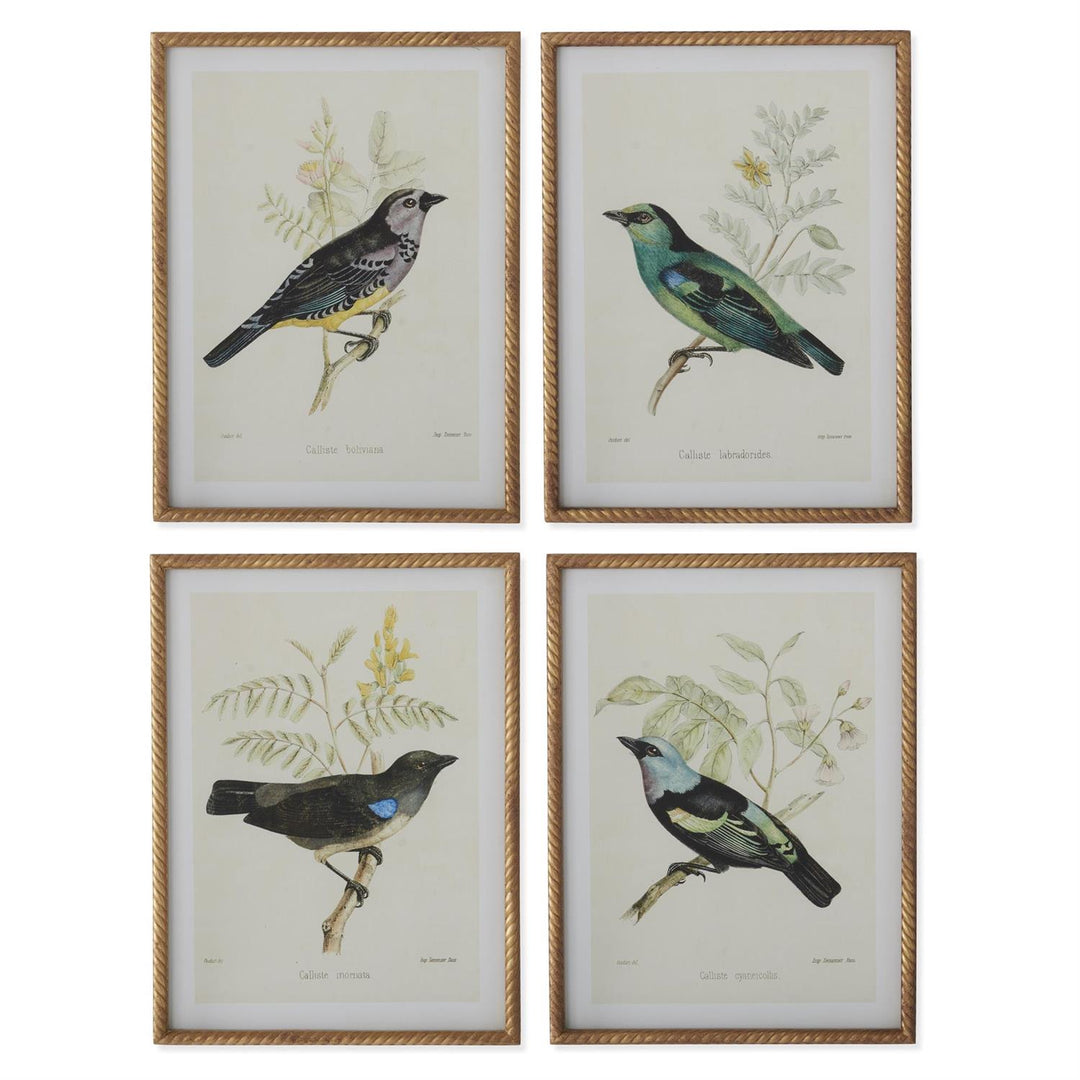 Gold Framed Aviary Print