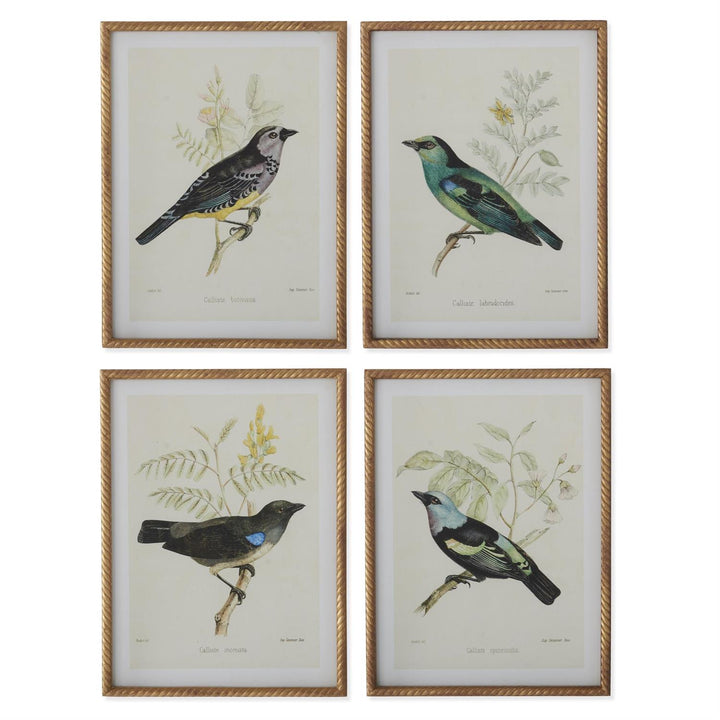 Gold Framed Aviary Print