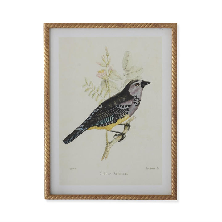 Gold Framed Aviary Print