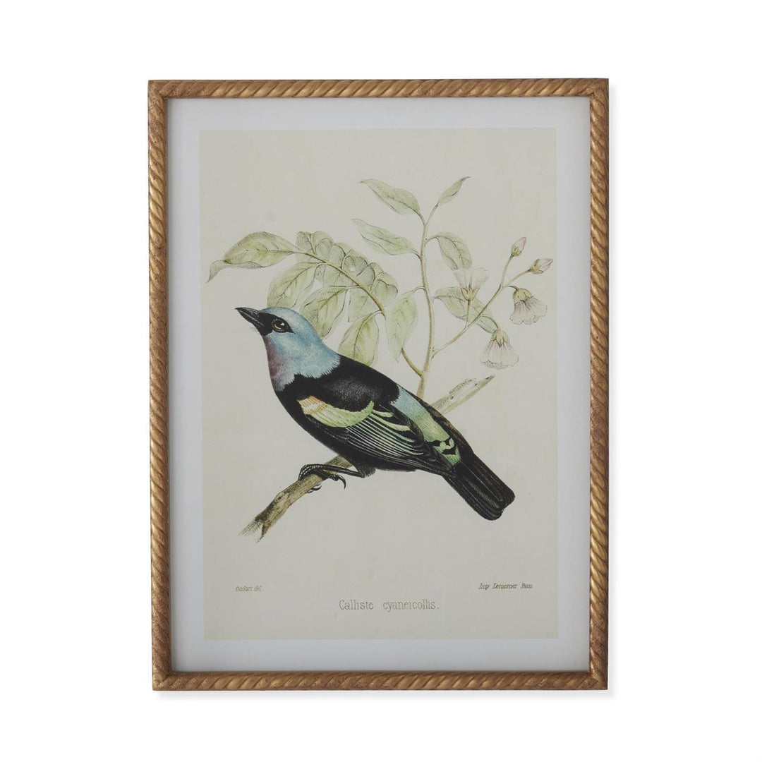Gold Framed Aviary Print