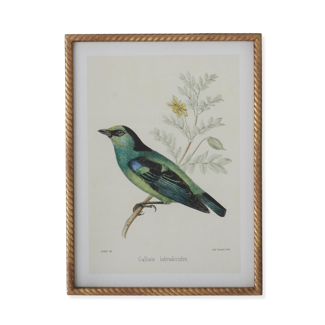 Gold Framed Aviary Print