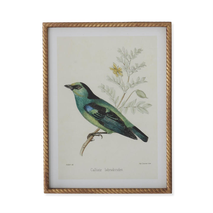 Gold Framed Aviary Print