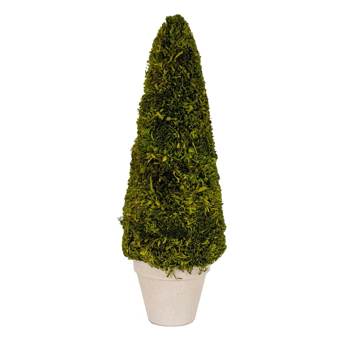 Grass Tree Topiary – Details Lancaster
