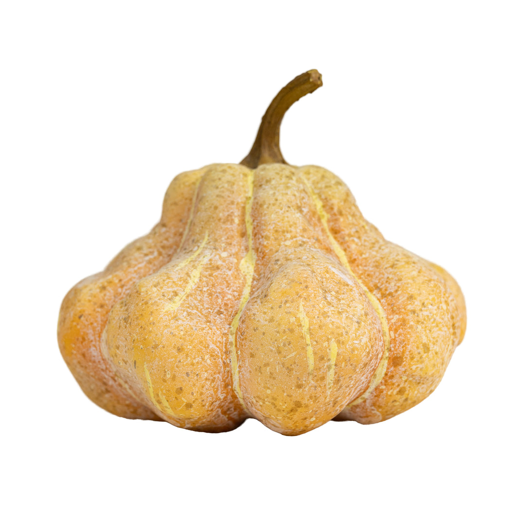 Heirloom Pumpkin