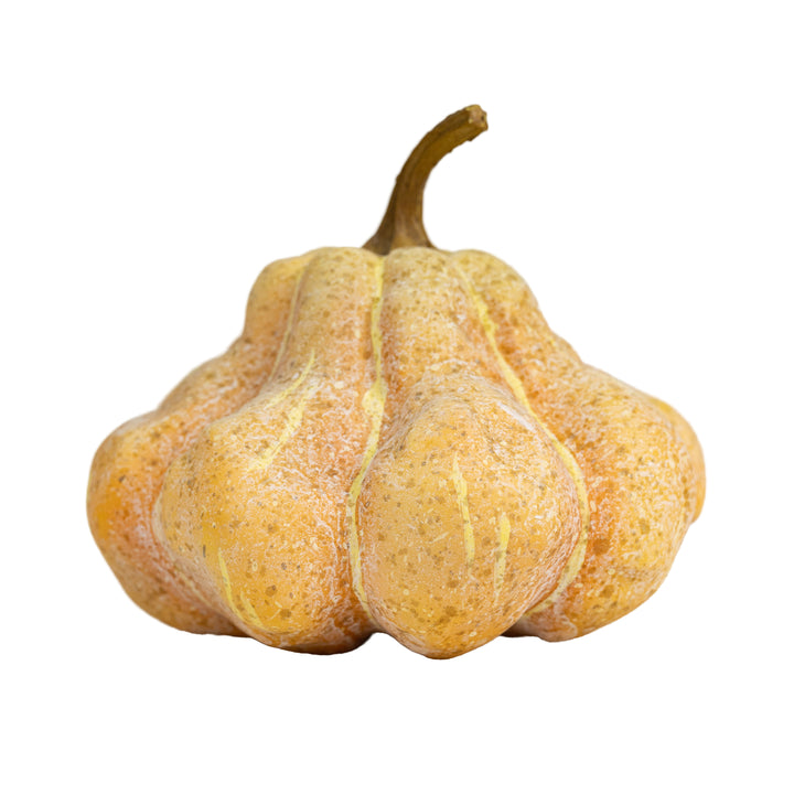 Heirloom Pumpkin