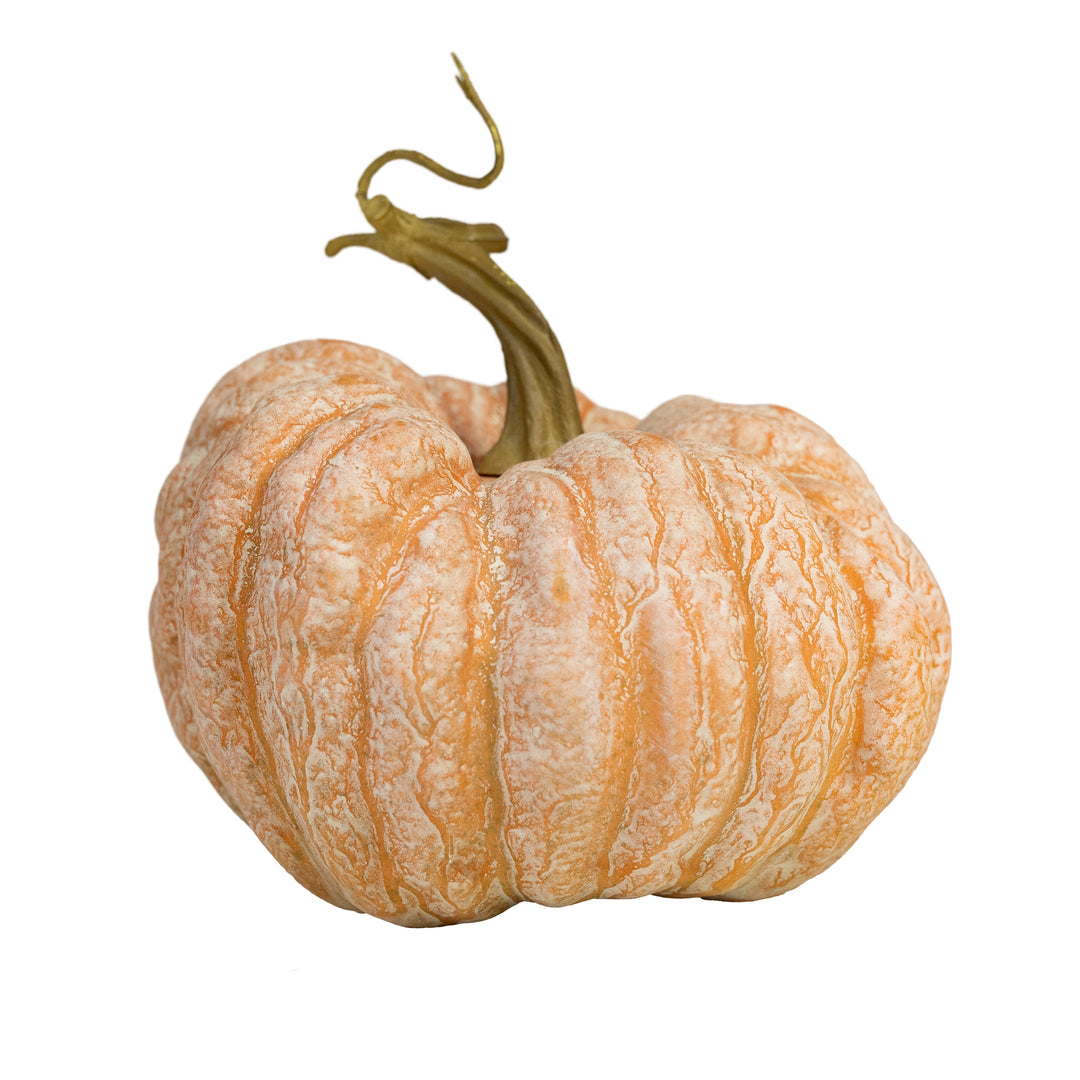 Heirloom Pumpkin