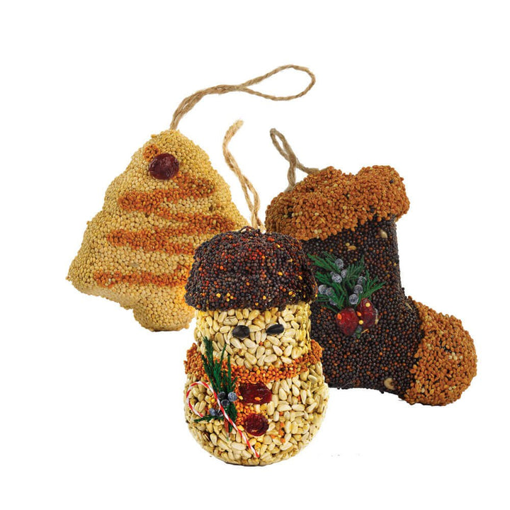 Holiday Birdseed Ornament