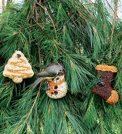 Holiday Birdseed Ornament