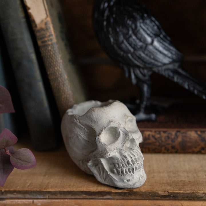 Memento Mori Skull - Small