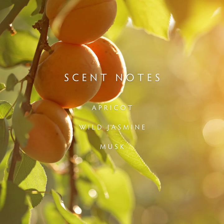 Nectar 2-Wick Candle