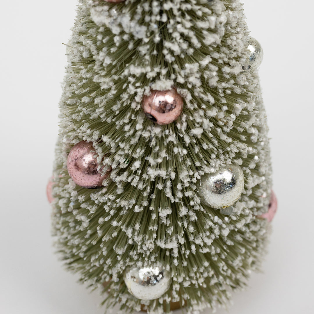 Ornament & Bottlebrush Tree