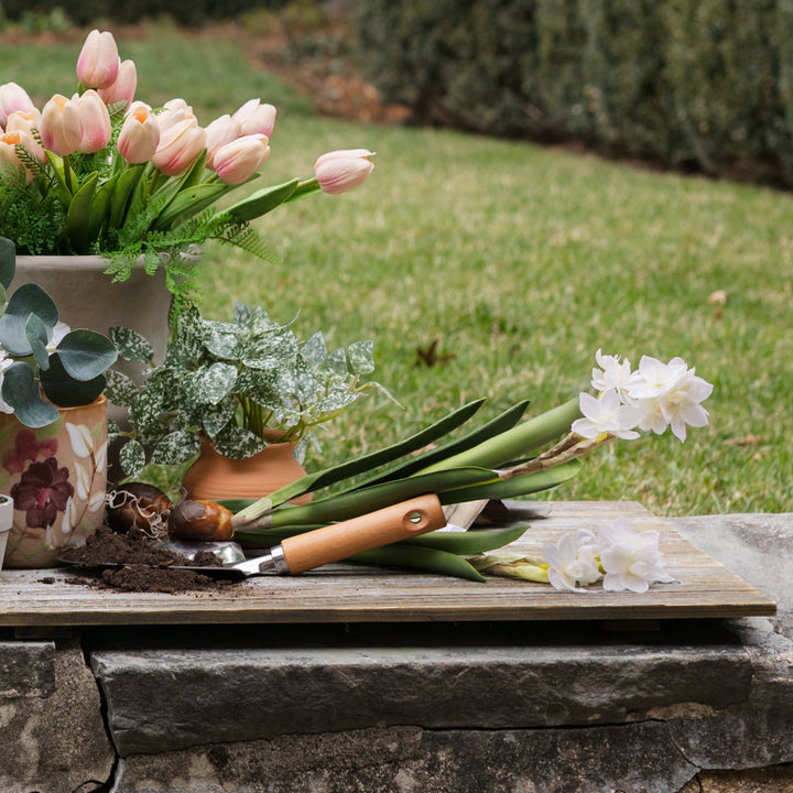 Paperwhite Real Touch Bulb