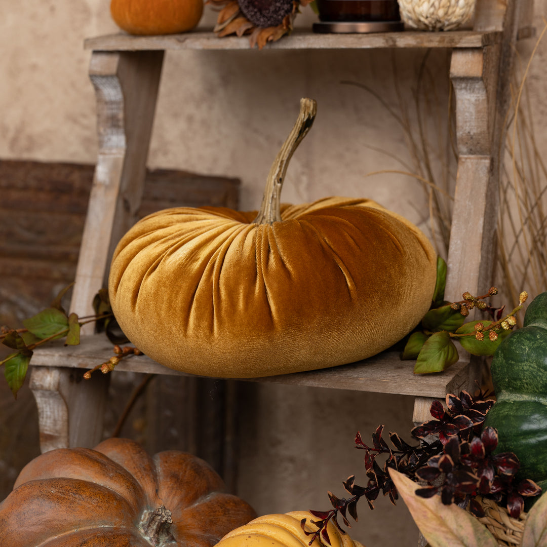 Persimmon 11" Velvet Pumpkin