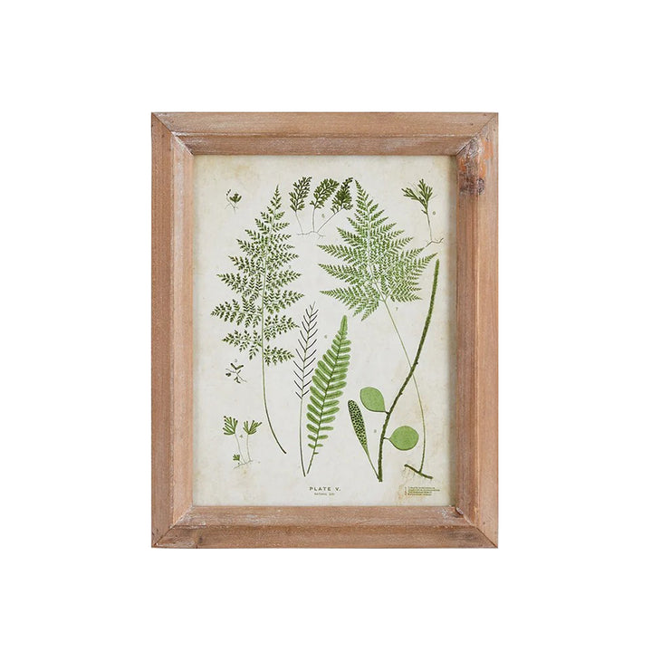 Petite Frond Study
