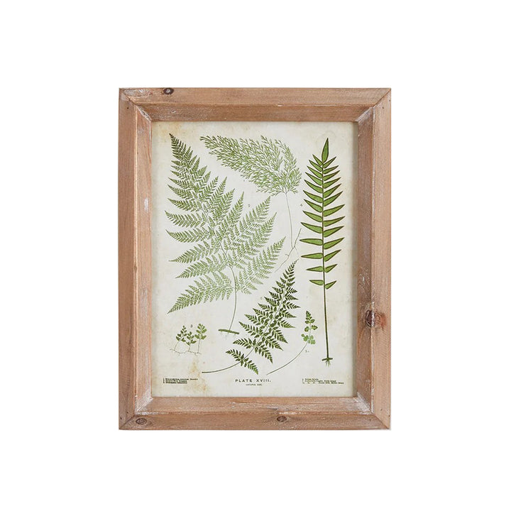 Petite Frond Study