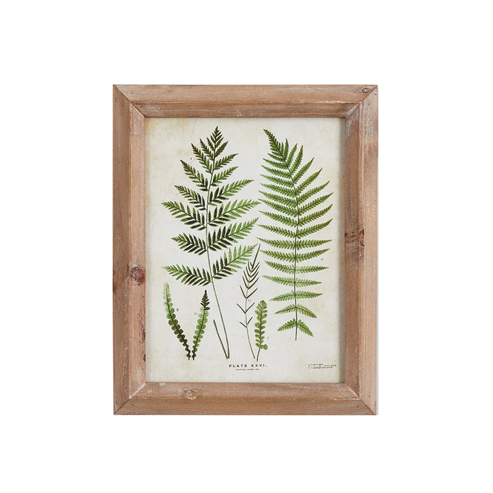 Petite Frond Study