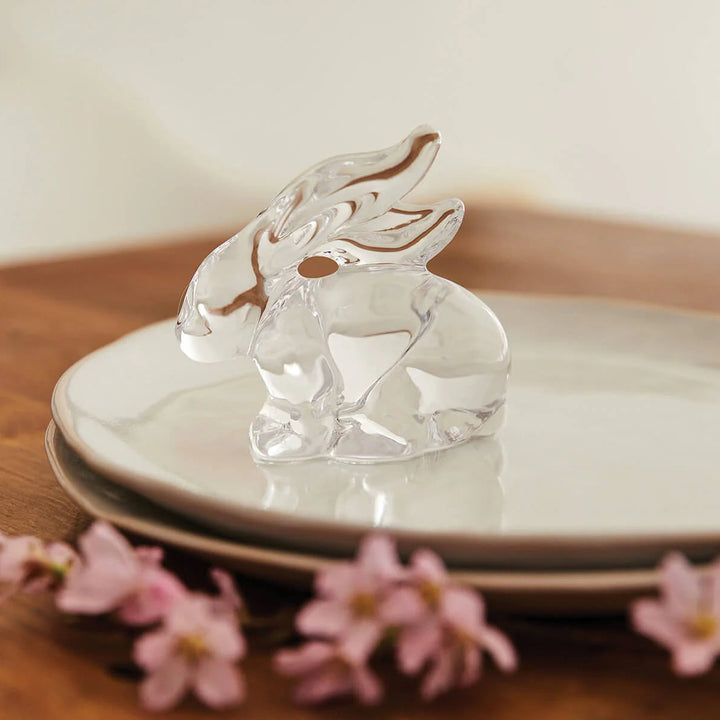 Rabbit in Gift Box