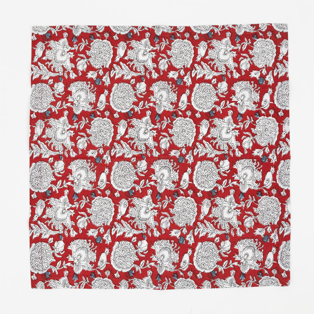 Red &amp; Blue Block Print Napkin Set