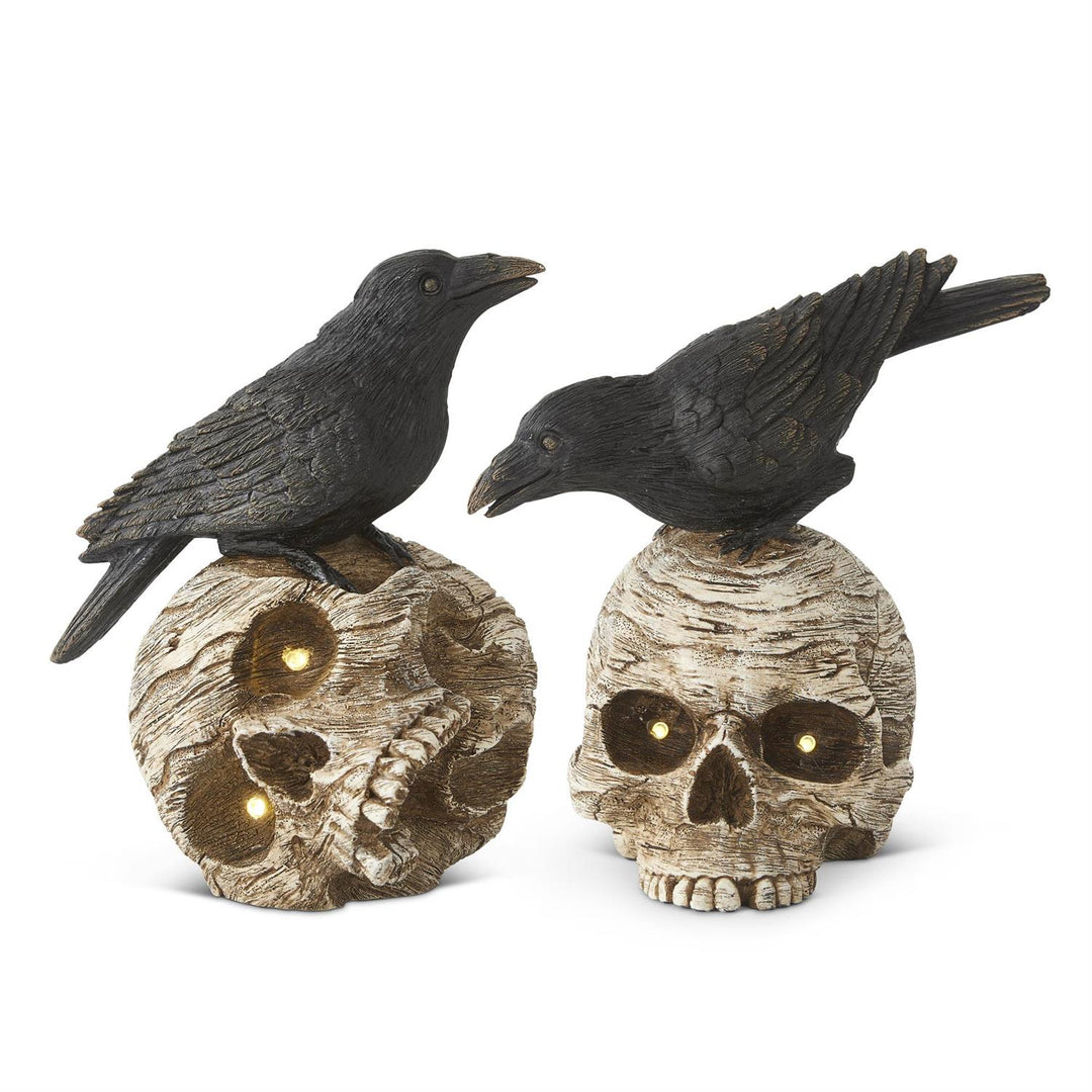 Skull &amp; Crow