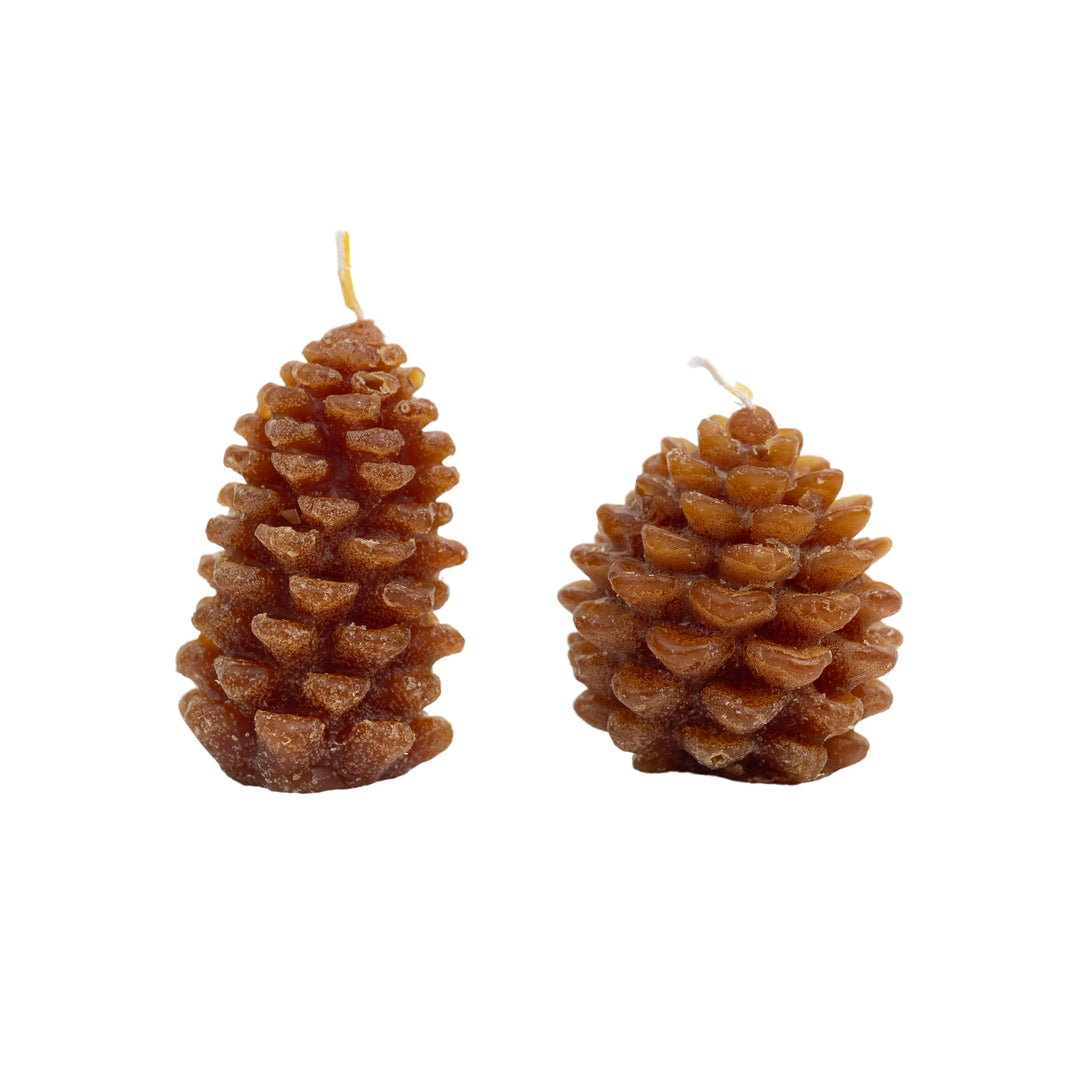 Unscented Pinecone Tealights, Set of 9