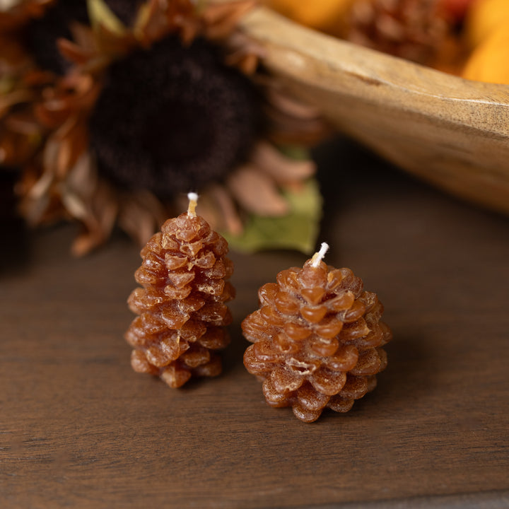 Unscented Pinecone Tealights, Set of 9