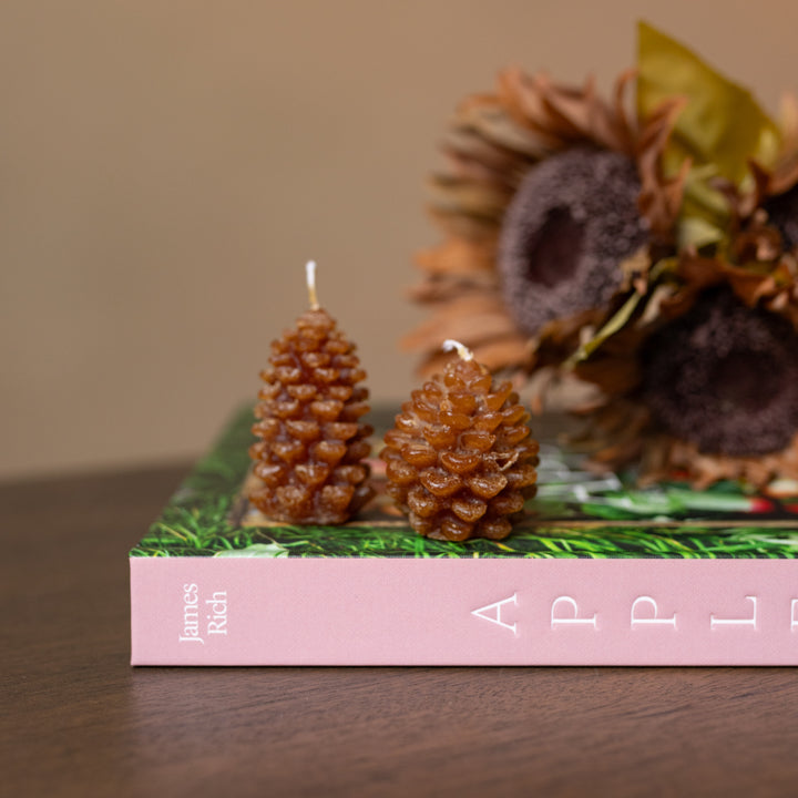 Unscented Pinecone Tealights, Set of 9