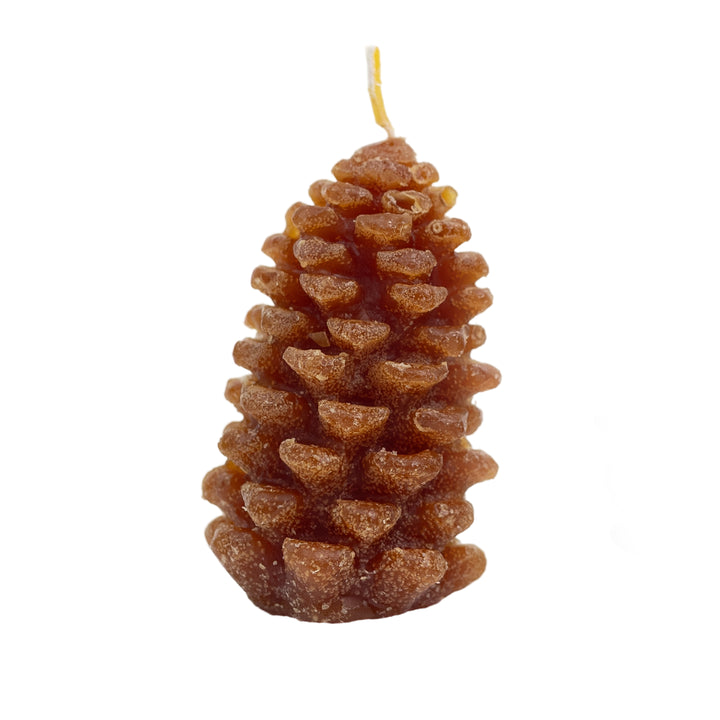 Unscented Pinecone Tealights, Set of 9