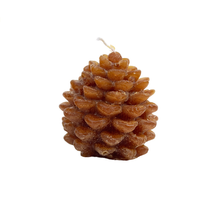 Unscented Pinecone Tealights, Set of 9