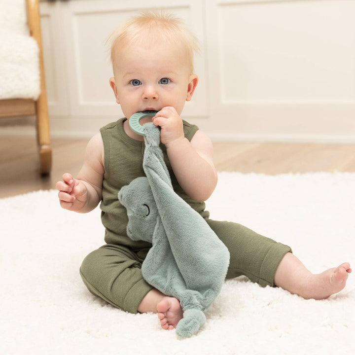 Freddie the Frog Teether Buddy