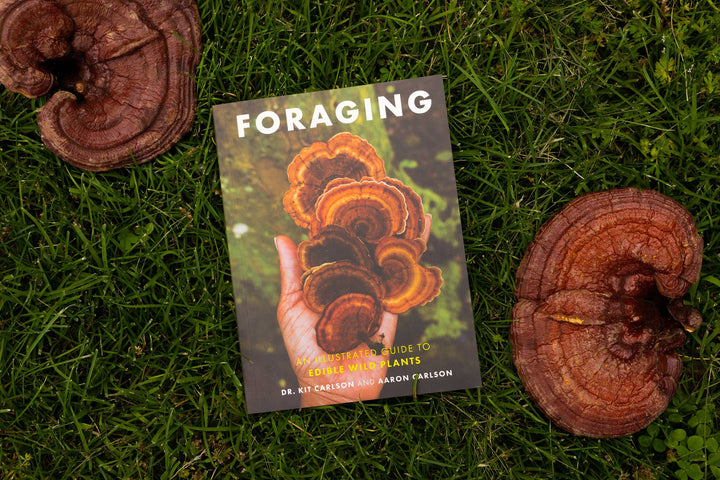 Foraging: An Illustrated Guide