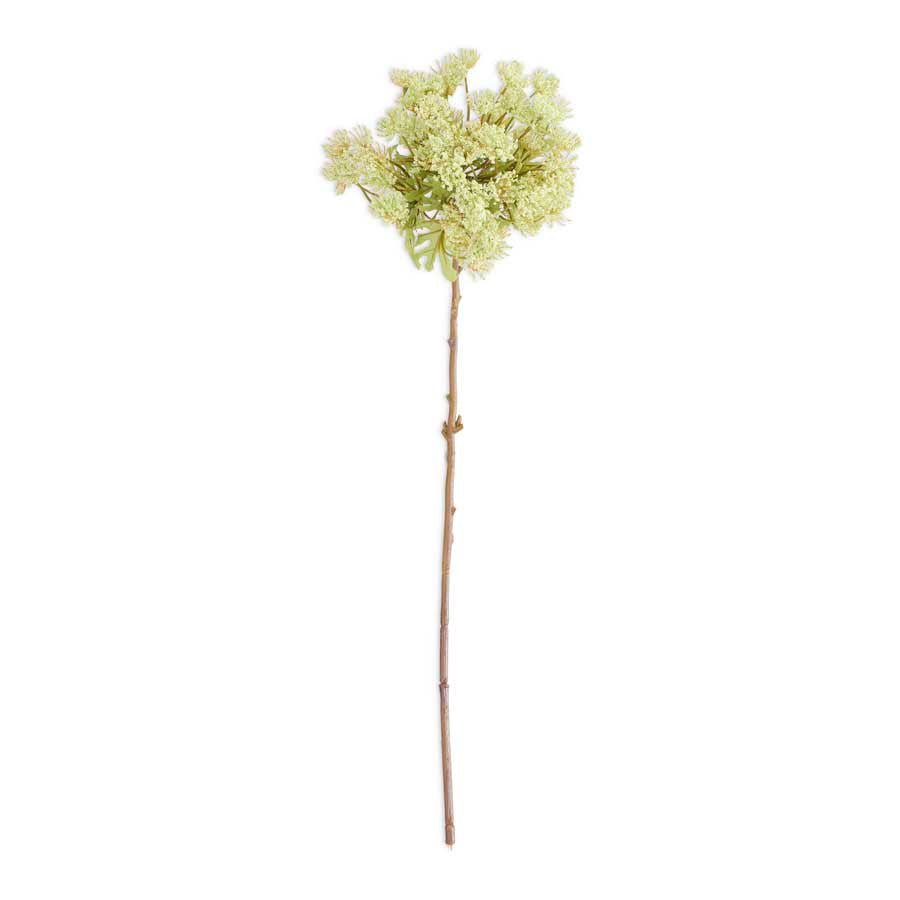 Green Queen Anne's Lace 23.5" Stem