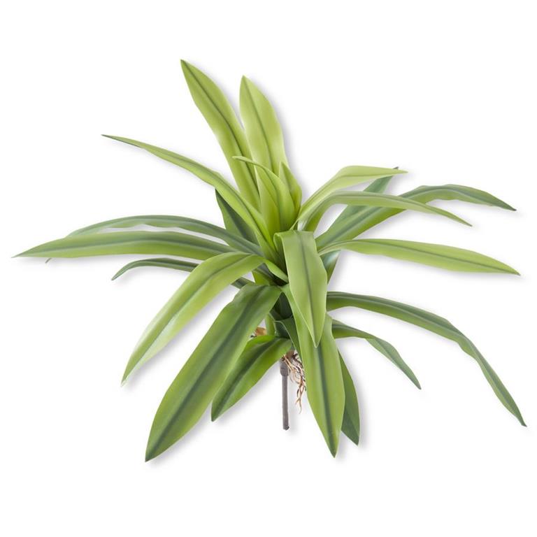 24" Real Touch Agave Foliage Spray
