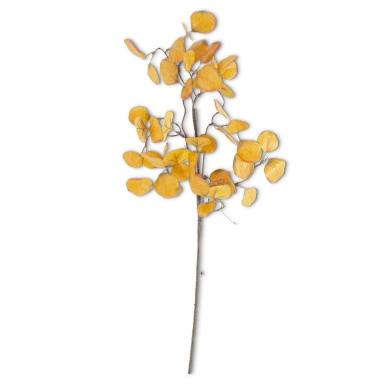 28" Yellow Eucalyptus Stem