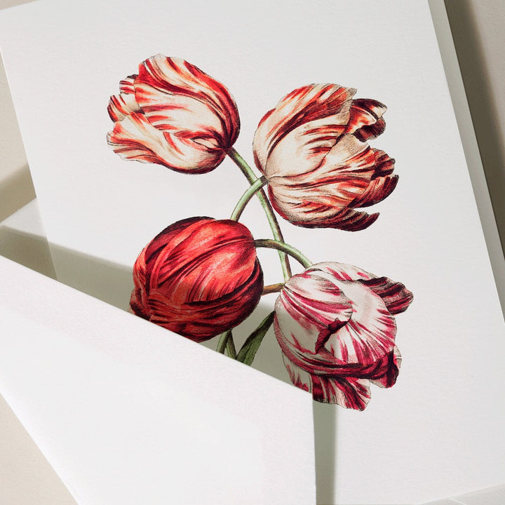 Tulips Folded Note Set
