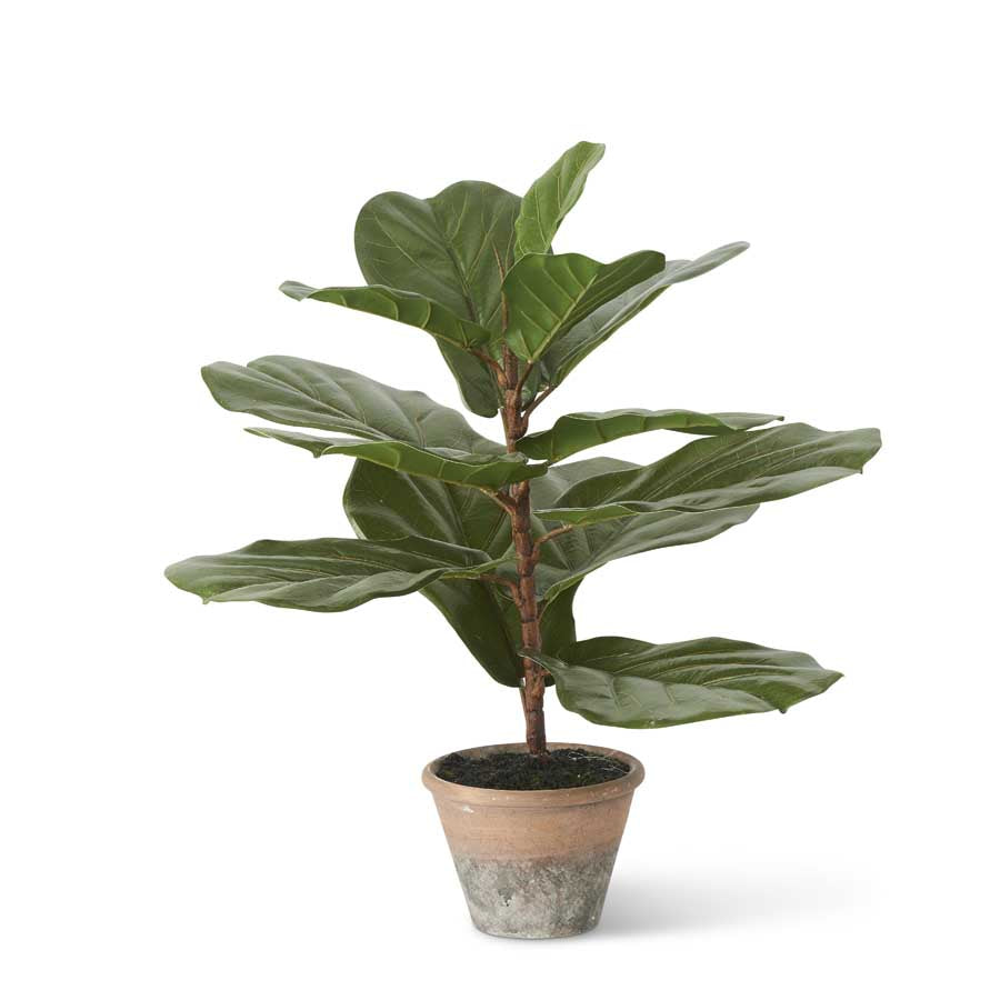 Faux Fiddle Leaf Fig Tree in Clay Pot