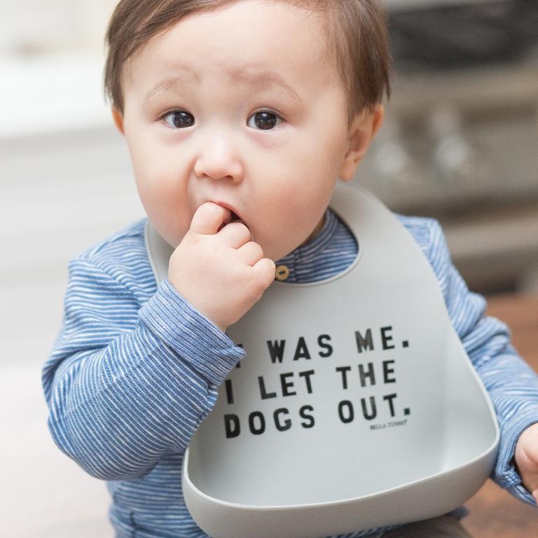 Let The Dogs Out Wonder Bib