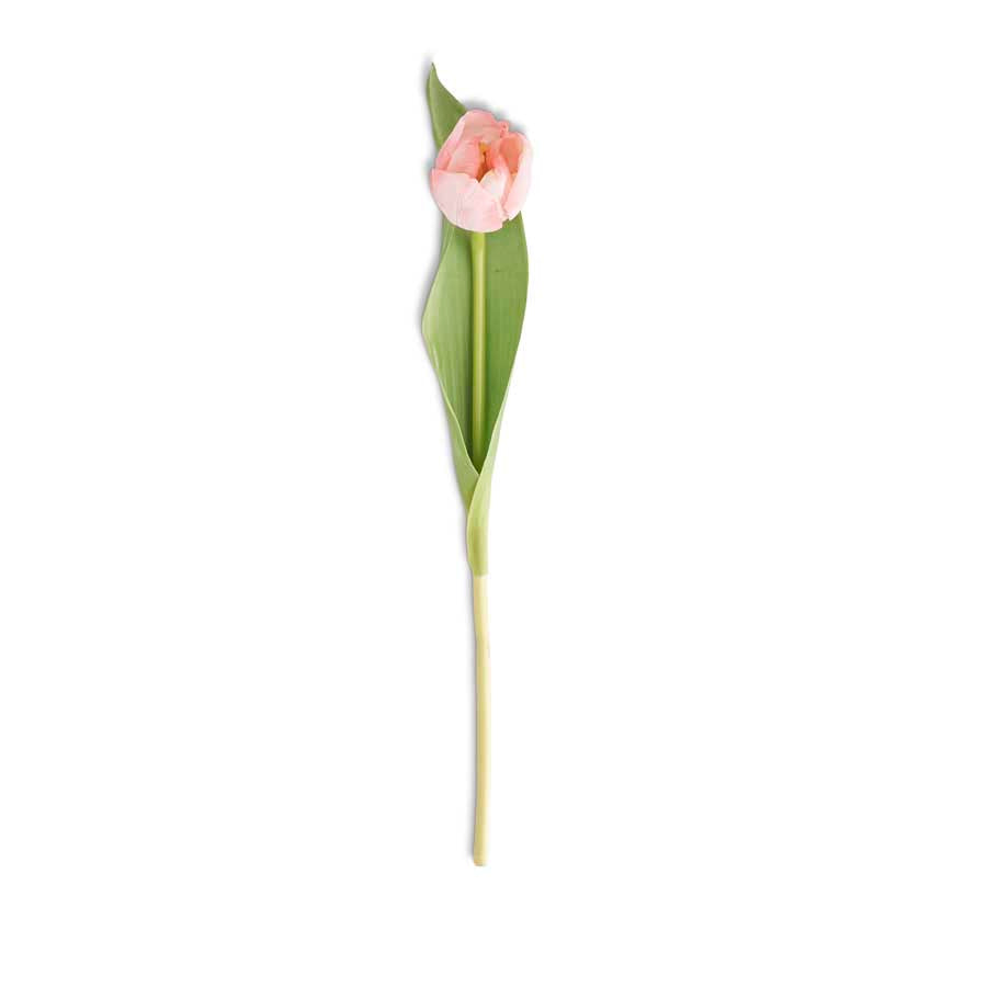 Pink Tulip 14" Stem