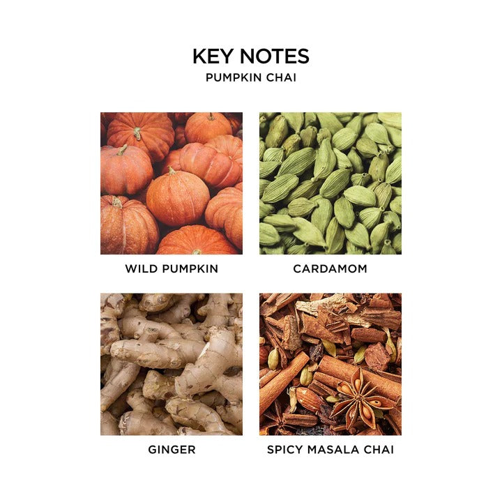 Pumpkin Chai Liquid Hand Soap