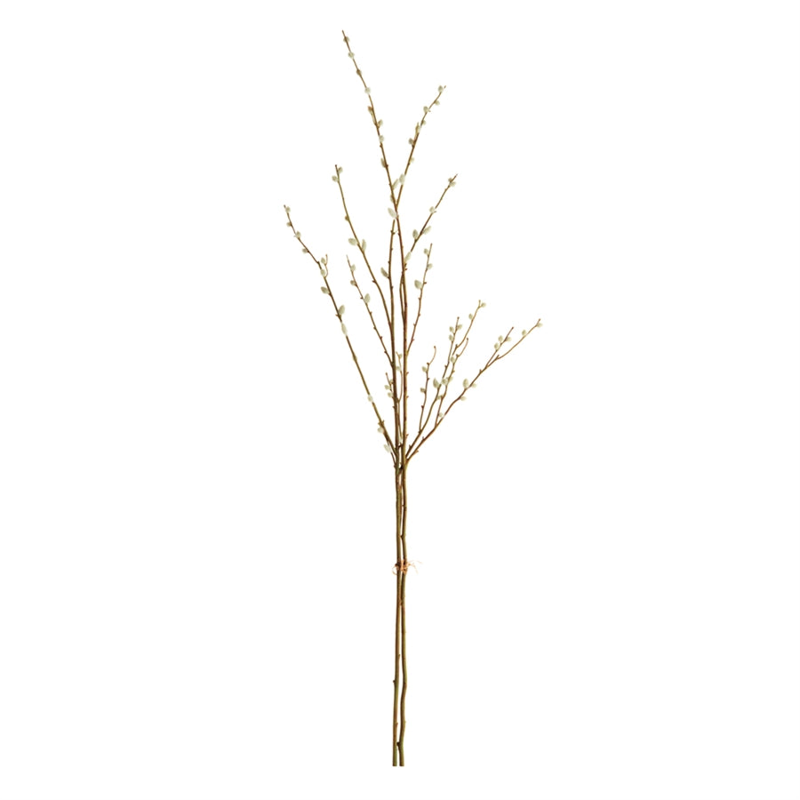 Pussy Willow 52" Stem